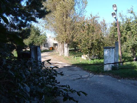 Foto 37